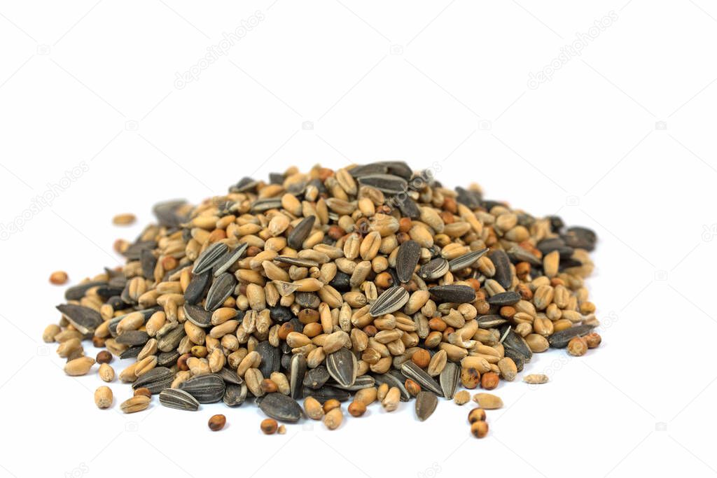 Birdseed isolated against a white background