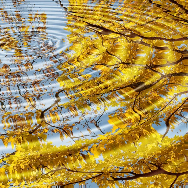 Cores Queda São Refletidas Água Reflexão — Fotografia de Stock