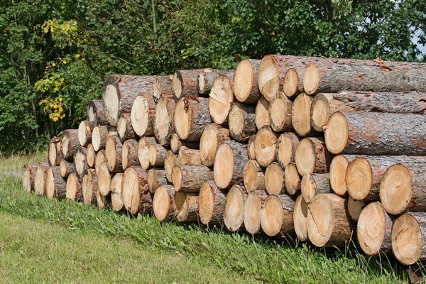 Stacked Logs Edge Forest — Stock Photo, Image