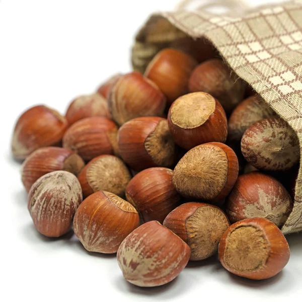 Hazelnuts Close — Stock Photo, Image