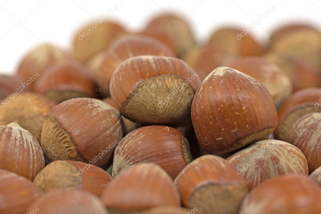Hazelnuts in a close up