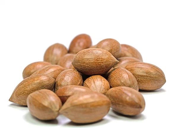 Pecans Κοντινό Πλάνο — Φωτογραφία Αρχείου