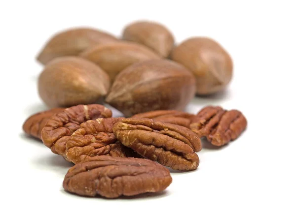 Pecans Κοντινό Πλάνο — Φωτογραφία Αρχείου