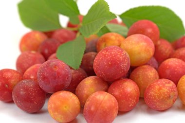 Kırmızı Mirabelle erikleri yakın planda