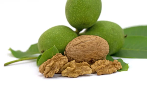 Green Ripe Walnuts White Background — Stock Photo, Image