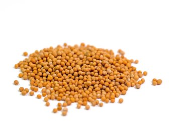 Beyaz bir arkaplanda izole hardal tohumları