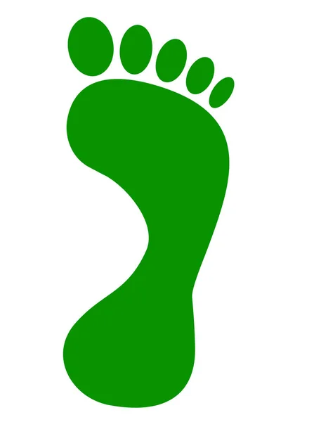 Green Footprint Front White Background Illustration — Stock Photo, Image