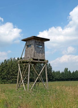 Avcı koltuğu ormanın kenarında.