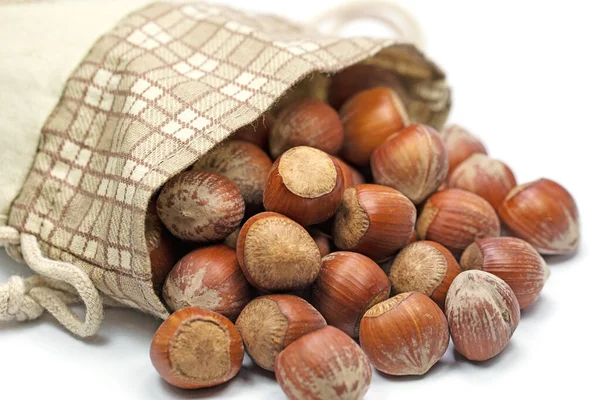 Hazelnuts Close — Stock Photo, Image