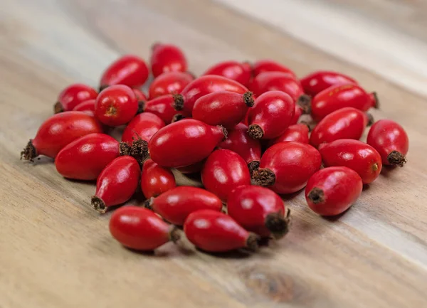 Frissen Szedett Rózsa Csípő Rosa Canina — Stock Fotó