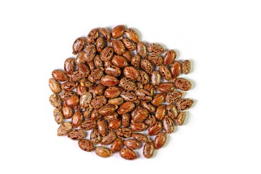 Beyaz arkaplana karşı Castor tohumları