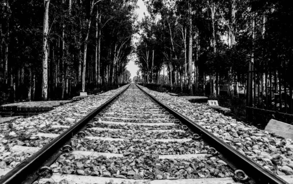 An Abandoned rail road in India