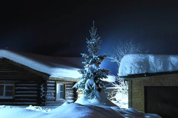 Kerstboom Onder Sneeuw — Stockfoto