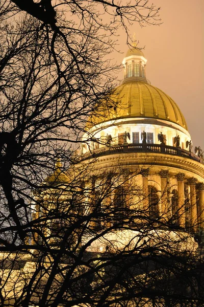 Huge and beautiful golden dome of St.Isaak\'s cathedral surrounded by dark and numerous statures and collonade beneaf hiding behind black branches of leafless trees under the golden sky shyning because of the night illumination of St-Petersburg
