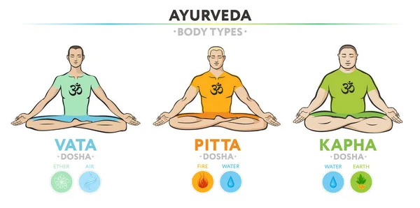 Vata Pitta Kapha Doshas Ectomorfo Mesomorfo Endomorfo Constitución Física Ayurvédica — Archivo Imágenes Vectoriales