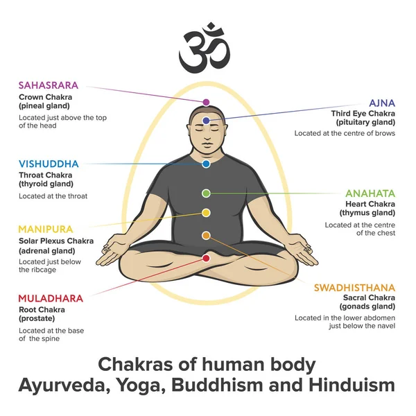 Йоги Асане Падмасане Комплект Чакр Человеческого Тела Векторный Плоский Стиль — стоковый вектор