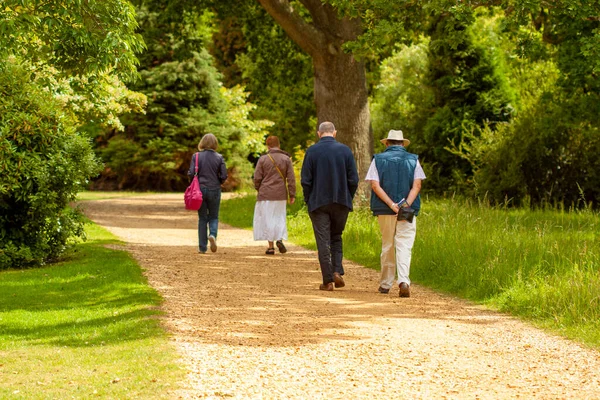 Two elderly men and two elderly women are having a leisurely stroll in a park. They walk in two groups on a dirt road that passes through a grassland with trees on each side.