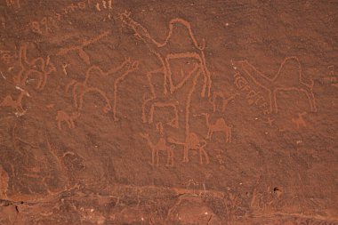 Wadi Rum Ürdün 'ünün kırmızı kum taşı yüzeyinde göçebe bedevilerin yaptığı tarih öncesi taş yazıtlara ve taşlara yakından bakın. Develeri ve insanları tasvir eder..