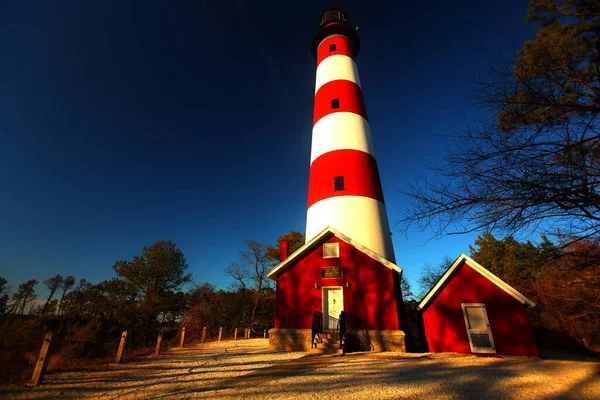 Assateague Маяк Красно Белый Полосатый Винтажный Маяк Лесу Темно Синим — стоковое фото