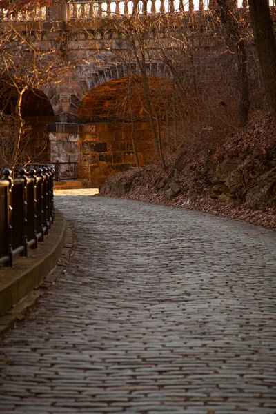 Malebná Dlážděná Cesta Vedoucí Arkádou Pod Slavnými Mosty Pittsburghu Tato — Stock fotografie