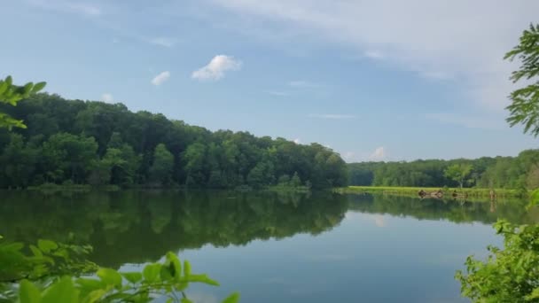 View Scenic Burning Basin Area Mallows Bay Potomac River Featuring — Stock Video