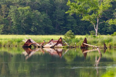 Potomac Nehri 'nin Mallows Körfezi' ndeki bir gemi enkazının yakın görüntüsü. Burası batı yarımküredeki en büyük gemi mezarlığı. Yüzden fazla kullanımdan kaldırılmış geminin kalıntılarına ev sahipliği yapıyor.