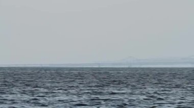 Güneşli bir yaz gününde Chesapeake Körfezi Köprüsü olarak bilinen William Preston Lane Jr. Köprüsü 'nün 4.3 mil uzunluğundaki tamamını gösteren yatay ekran görüntüsü..  