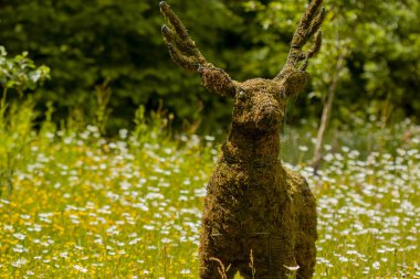 Metal çerçeve kullanılarak yapılmış ve içi kuru çimen ve samanla doldurulmuş bir geyik modeli. Bu gerçekçi model, gerçekçi bir perspektif vermek için yabani çiçeklerin arasına konur...