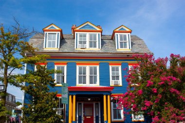 Annapolis, MD 08 / 21 / 2020: Annapolis 'in tarihi bölgesinde renkli bir vintage ev. Tek aile evinin ahşap kaplamaları koyu maviye boyanmış. Dışarıda bir Crape Myrtle ağacı var.