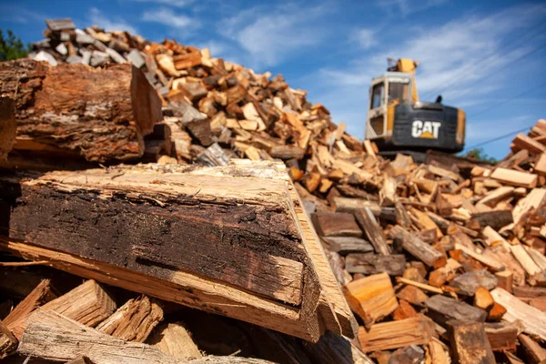 Queenstown, MD, USA 09/05/2020: A logging site where trees from nearby forest are chopped and cut into wooden logs. These logs are then made into big piles and a Cat Excavator works on it. — Stock Image Queenstown Usa 2020 Logging Site Trees Nearby Forest Chopped Cut Royalty Free Stock Images