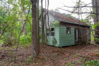 Ormanın ortasında terk edilmiş çok eski bir ev. Tek bina ahşap çerçeve, çürüyen pencere ve kapılar ve çatıyı kaplayan düşmüş çam iğneleriyle kötü korunuyor..