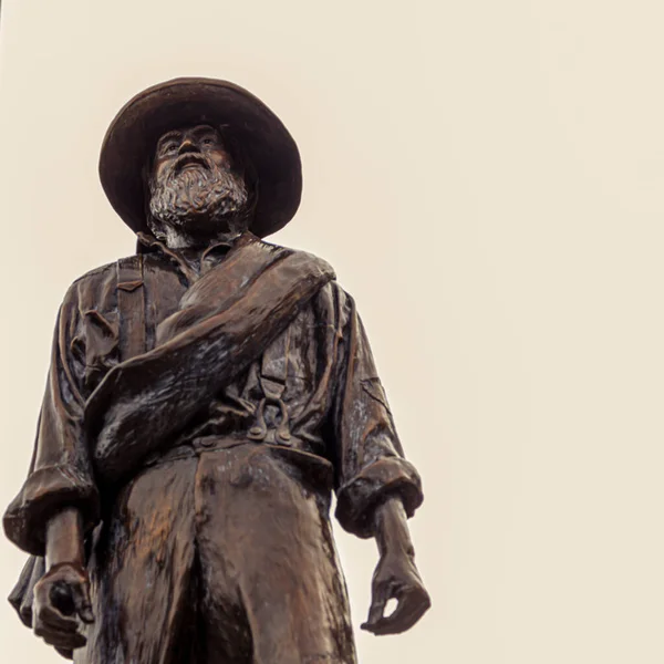 Point Lookout Usa 2020 Statue Eines Unbekannten Konföderierten Soldaten Konföderierten — Stockfoto