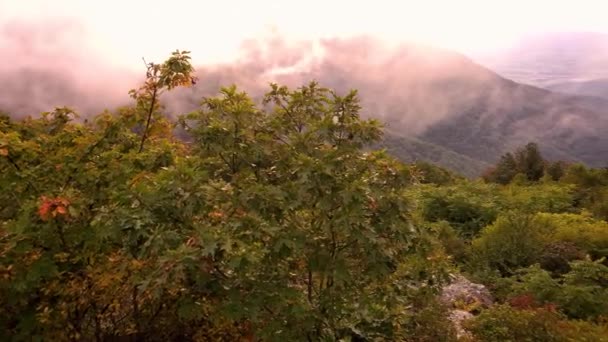 国立公園内のスカイライン ドライブで標高3000フィート以上の展望台からシェナンドー バレーの日没の景色 山の上に雲が降り 霧が滝の景色を妨げる — ストック動画
