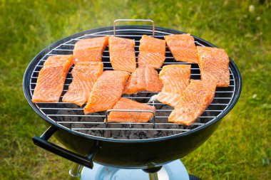 Bazı parçalar sıcak kavrulmuş somon Steak Barbekü parkta pişmiş