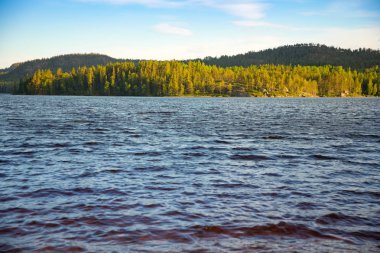Küçük İsveçli göl ve orman İsveç'te günbatımı ışıkları