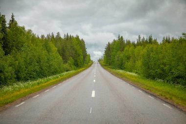 Dağ yolundan ve dramatik gökyüzü yağmurlu günde, Norveç