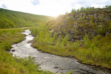 Nord Norveç küçük güzel Norveç nehirde