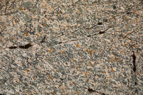 Muschio su pietra, sfondo naturale colorato, Norvegia — Foto Stock