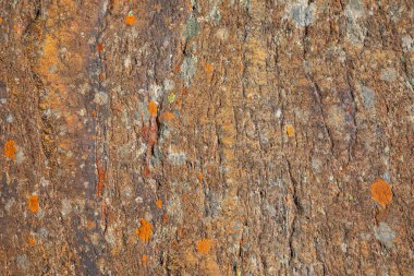 Moss taş, renkli doğal backgroung, Svartesien, Norveç