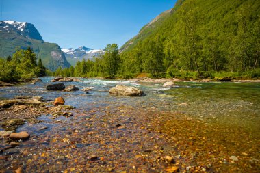 Trollstigen Norveç'te güzel dağ Nehri