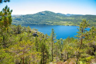 Yeşil orman ve göl Preikestolen, Stavanger bölgesinde, Norveç için yol hiking üzerinden kaplı dağların görüntüleyin