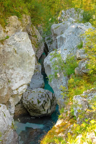 Velika Korita Kanyon Soca nehirdir Soca Valley, Slovenya — Stok fotoğraf