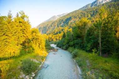 Dağ nehir Soca Slovenya Alpleri'nde