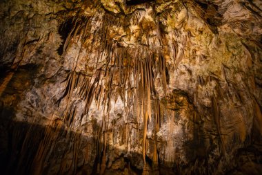 Görünüm sarkıt ve dikitler bir yeraltı mağarası - mağara Postojna, Slovenya