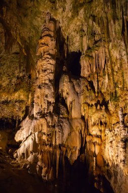 Görünüm sarkıt ve dikitler bir yeraltı mağarası - mağara Postojna, Slovenya