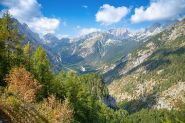 Alp Dağları yaz görünümünde Slovenya