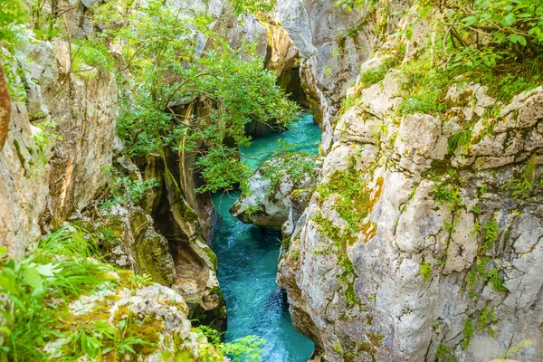 Velika Korita es un cañón del río Soca en el valle de Soca, Eslovenia. — Foto de Stock