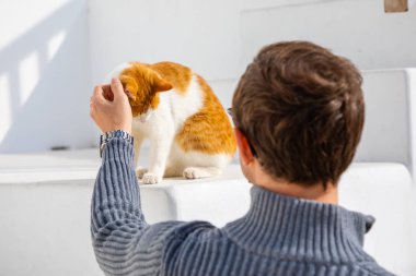 Mykonos, Yunanistan sokakta bir kedi okşayarak adam