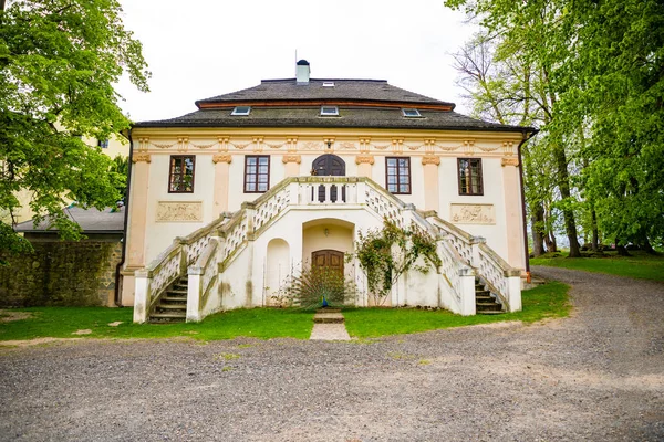 Pfau auf dem Territorium der mittelalterlichen Burg Blatna im Frühling, Tschechische Republik — Stockfoto