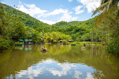 Sanya, Hainan, Çin yanındaki parkta Yanoda yağmur ormanı